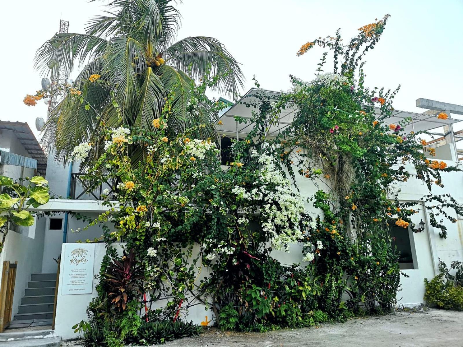 Keyla Inn Thulusdhoo Buitenkant foto
